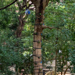 Image 10 0f 12 thumb