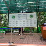 Image 11 0f 12 thumb